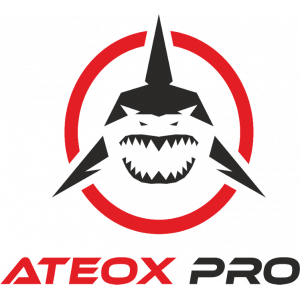Официальный дилер Ateox Pro - купить недорого в Москве и городах России