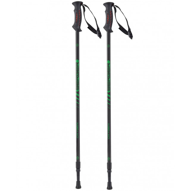 Скандинавские палки BERGER Oxygen 2-секционные, 77-135 см, черный/зеленый