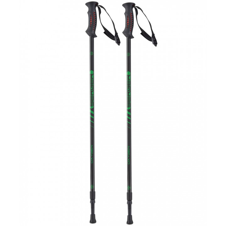 Скандинавские палки BERGER Oxygen 2-секционные, 77-135 см, черный/зеленый