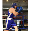 Перчатки боксерские INSANE ODIN IN22-BG200, ПУ, синий, 14 oz