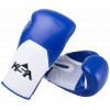 Перчатки боксерские KSA Scorpio Blue, к/з, 10 oz