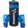Набор для бокса INSANE FIGHT, черный/синий, 45х20 см, 2,3 кг, 6 oz