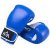 Перчатки боксерские KSA Wolf Blue, кожа,  8 oz