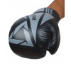 Перчатки боксерские INSANE ARES IN22-BG300, кожа, черный, 12 oz