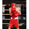 Перчатки боксерские INSANE ODIN IN22-BG200, ПУ, красный, 12 oz